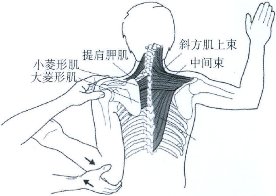 六、抵抗力檢查